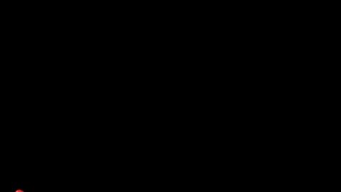 46392
