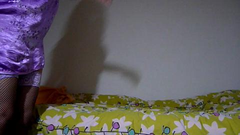 4629